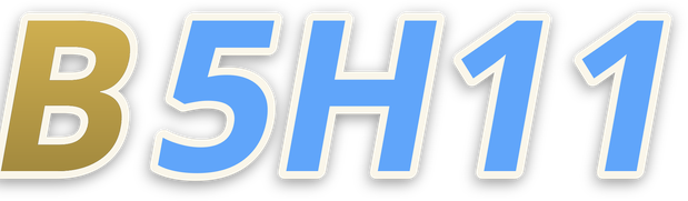 b5h11
